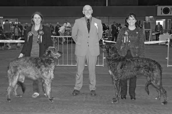 CC Winners Scottish Breeds 2011